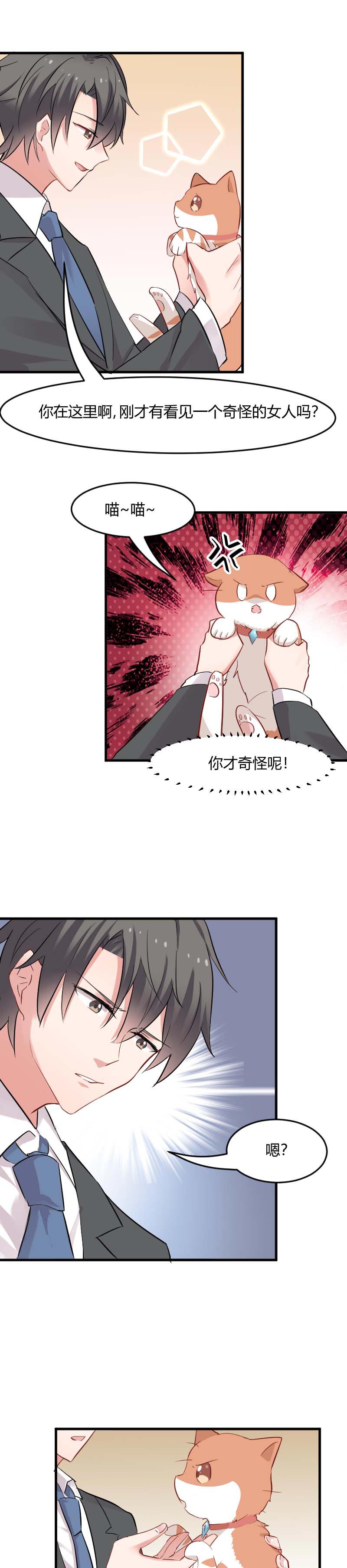 救命，我的男票是妖怪漫画,第22章：撸猫不成反被挠3图