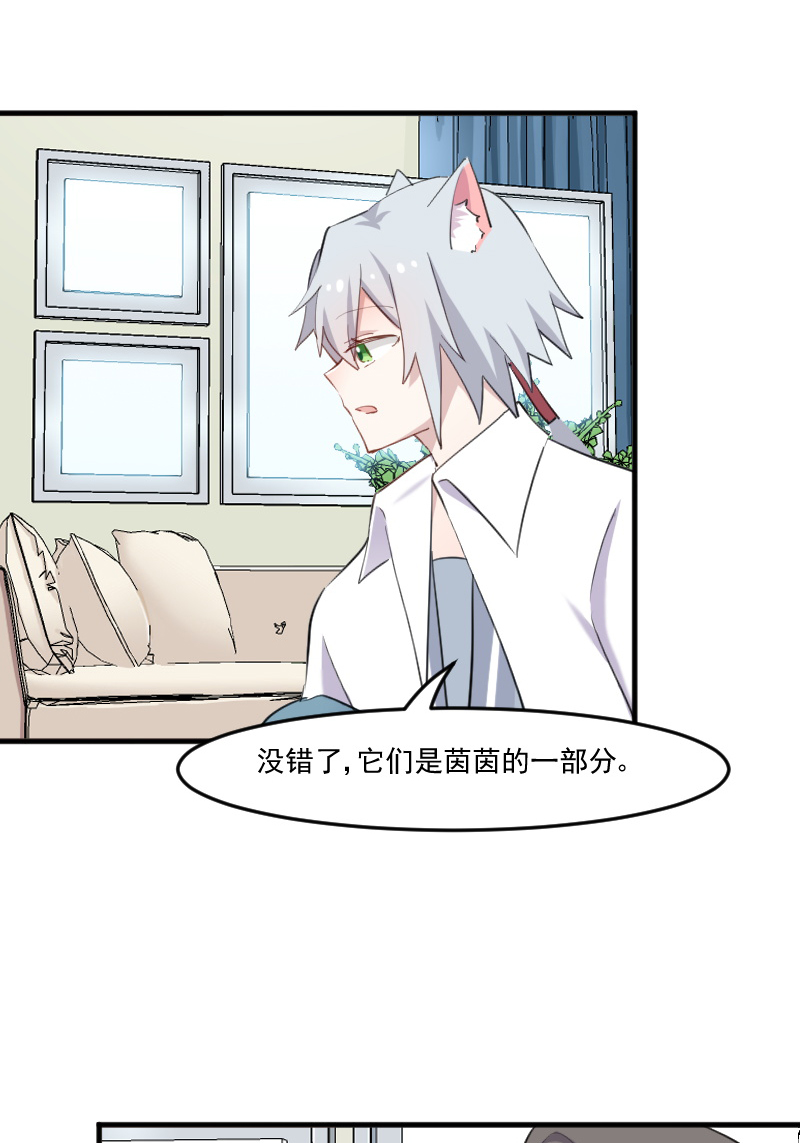 救命我的男票是妖怪第三季 动漫漫画,第104章：猫身上的秘密2图