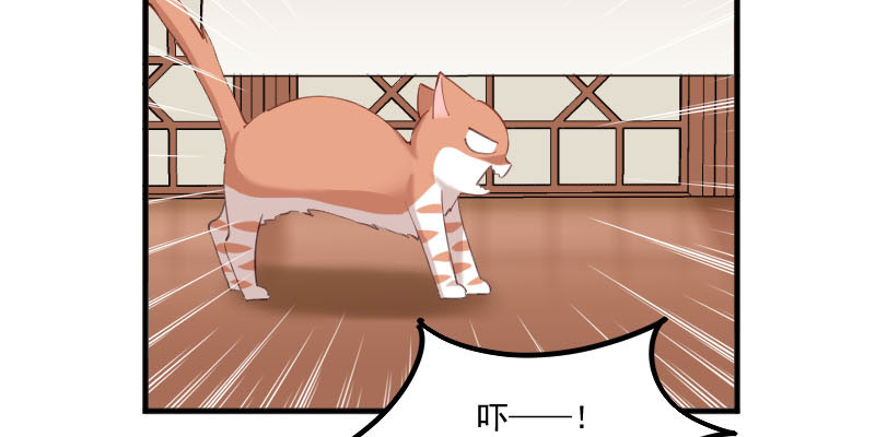 救命我的男票是妖怪第三季免费看漫画,第87章：威胁3图