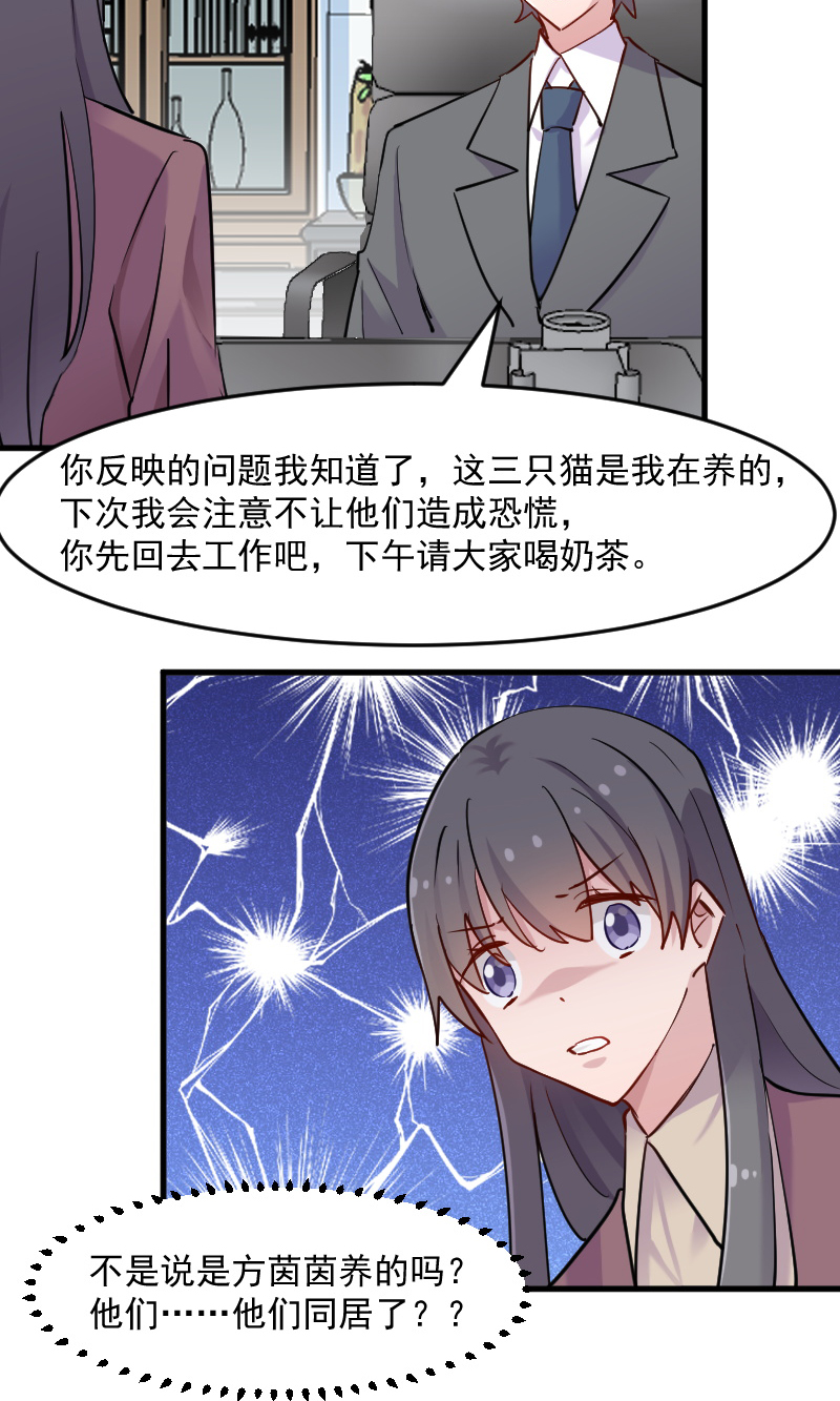 救命我的男票是妖怪第四季动漫免费观看漫画,第125章：总裁的爱猫之心4图