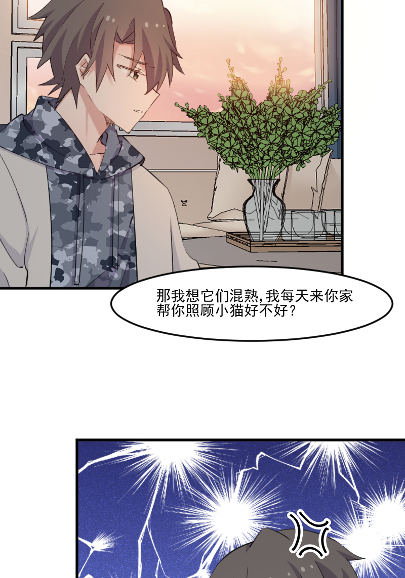 救命我的男票是妖怪第四季动漫免费观看漫画,第103章：照顾她的猫3图