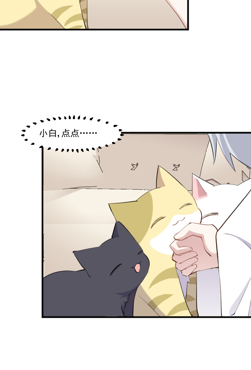 救命我的男票是妖怪第三季 动漫漫画,第104章：猫身上的秘密2图