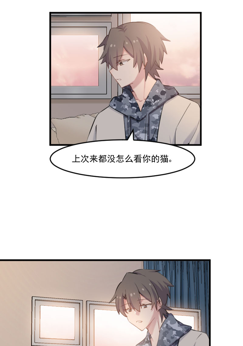 救命我的男票是妖怪第三季 动漫漫画,第103章：照顾她的猫5图