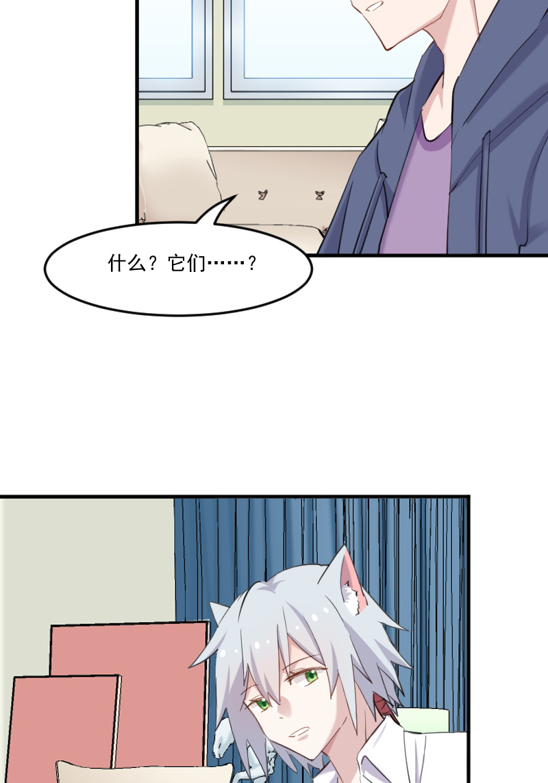 救命我的男票是妖怪第三季 动漫漫画,第104章：猫身上的秘密3图