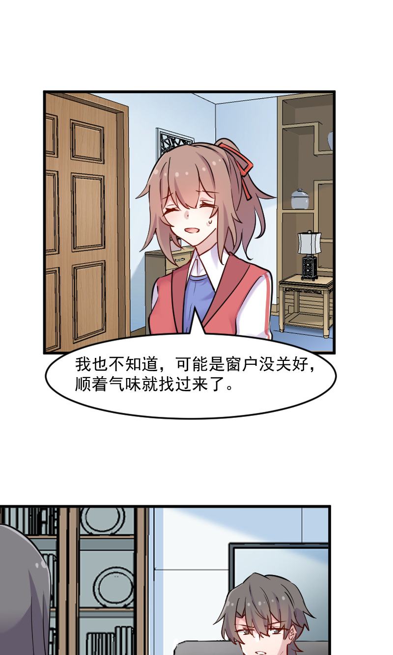 救命我的男票是妖怪第四季动漫免费观看漫画,第125章：总裁的爱猫之心3图