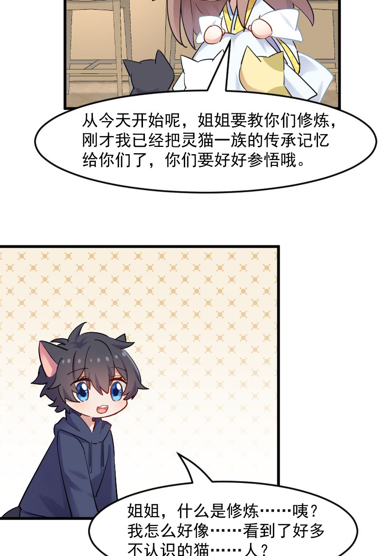 救命我的男票是妖怪第四季动漫免费观看漫画,第120章：超豪华的猫屋！1图