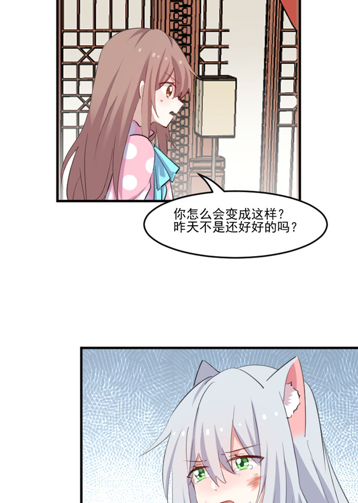 救命我的男票是妖怪第四季动漫免费观看漫画,第91章：救命！1图