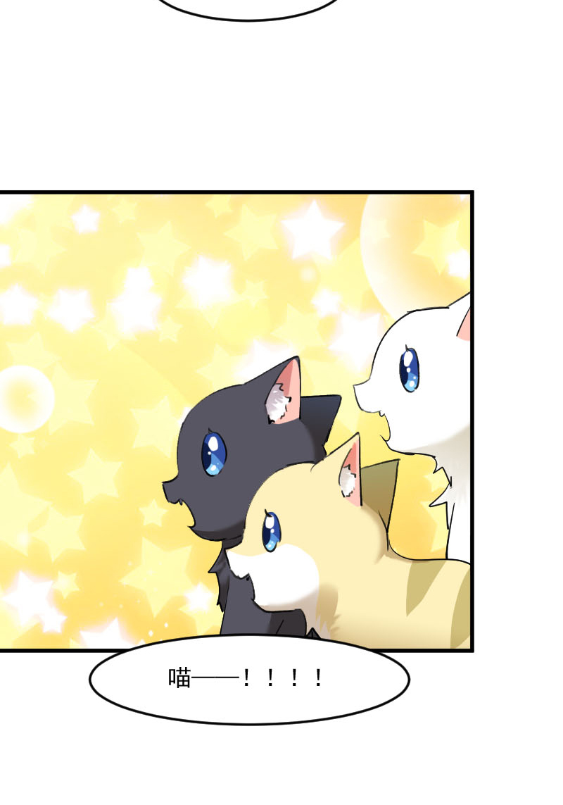 救命我的男票是妖怪第三季完整版漫画,第120章：超豪华的猫屋！4图