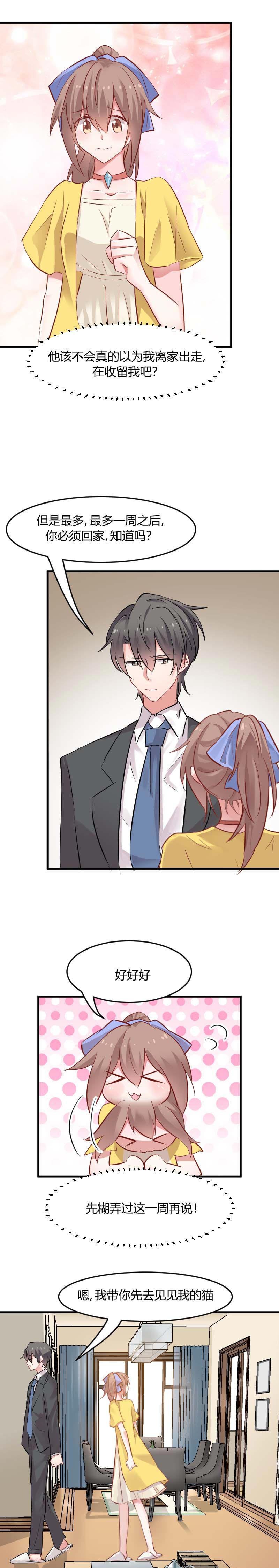 救命，我的男票是妖怪漫画,第22章：撸猫不成反被挠1图