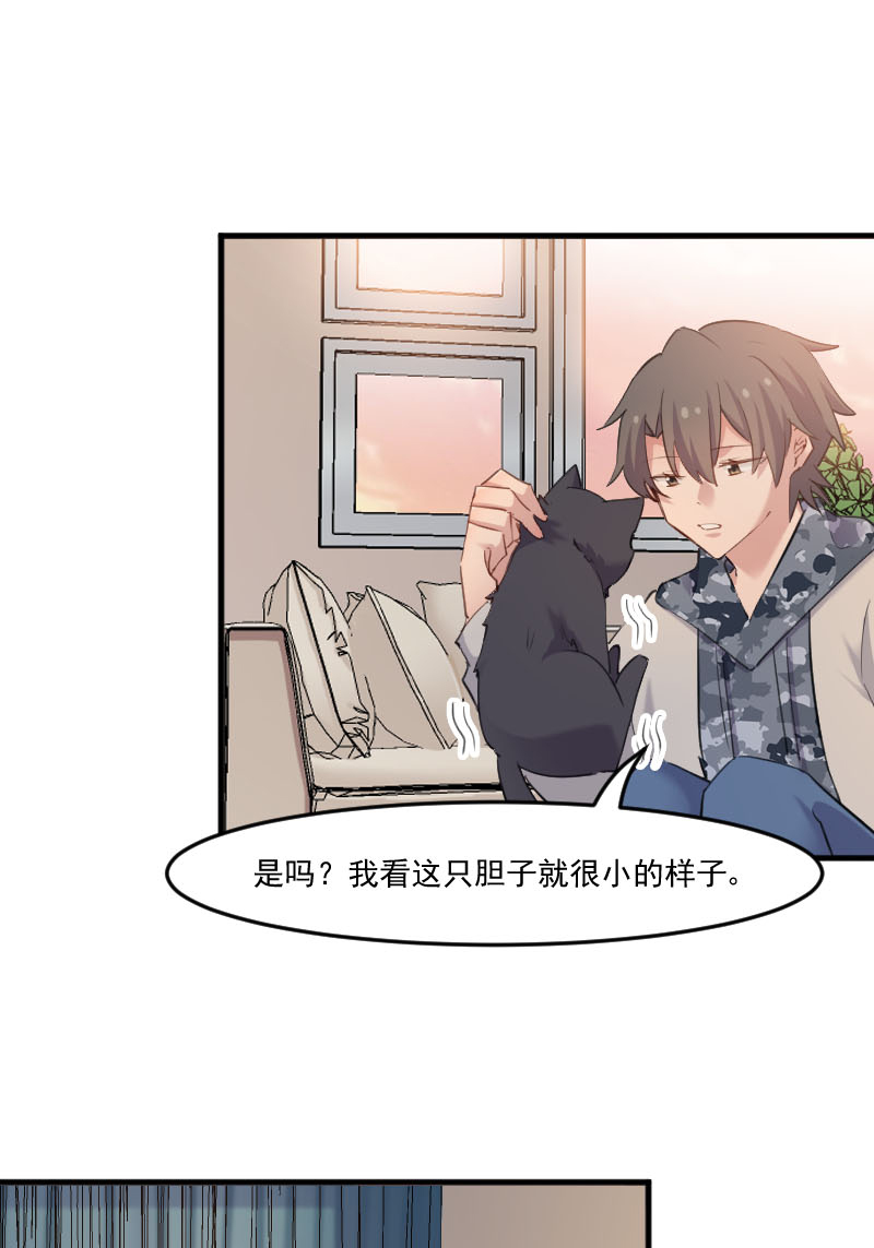 救命我的男票是妖怪第三季 动漫漫画,第103章：照顾她的猫4图