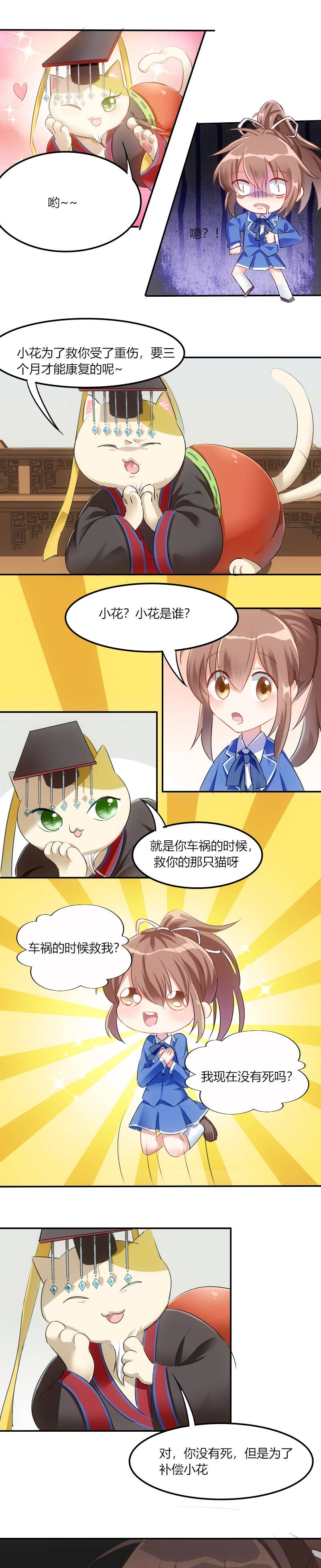 我的男票是妖怪动漫第二季在线观看漫画,第3章：悲惨的喵生1图