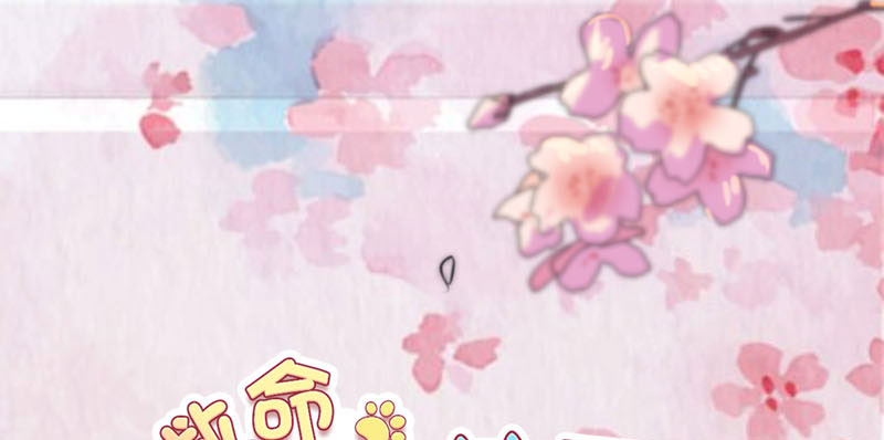 救命，我的男票是妖怪漫画,第82章：生日惊喜？1图