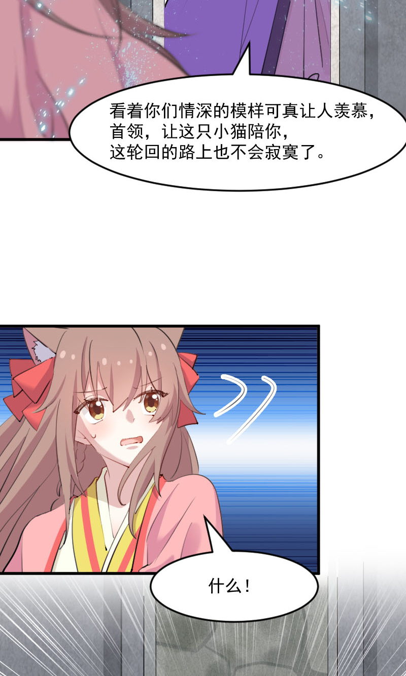 救命我的男票是妖怪第四季动漫免费观看漫画,第112章：猫的报恩1图