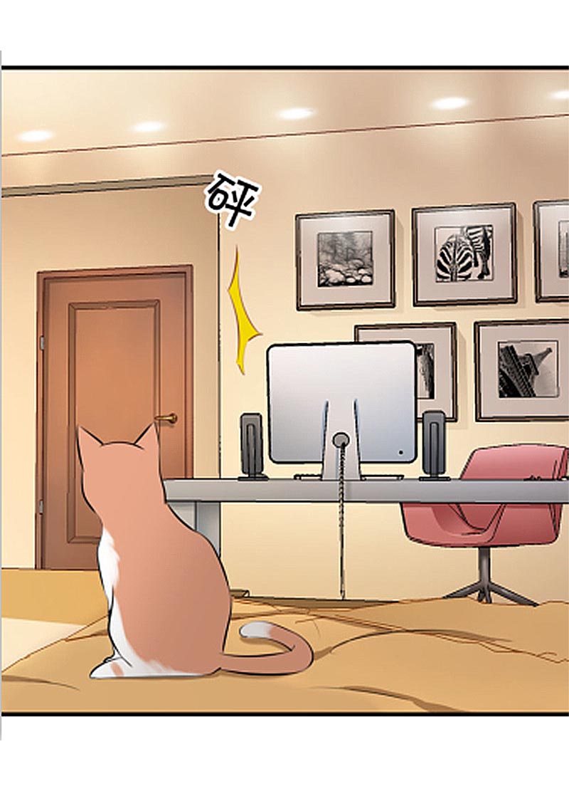 救命我的男票是妖怪完结漫画,第6章：成功引起我的注意1图