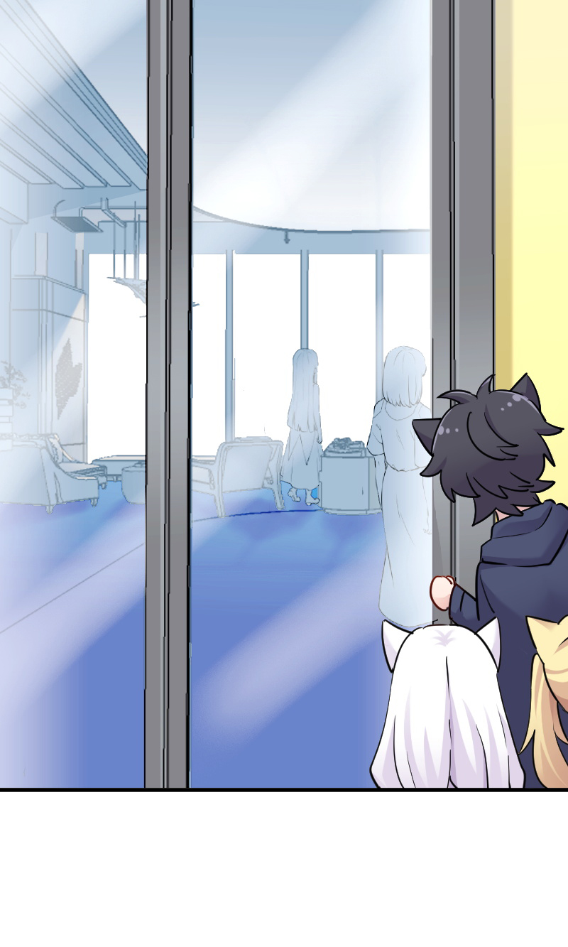 救命我的男票是妖怪完结漫画,第125章：总裁的爱猫之心2图