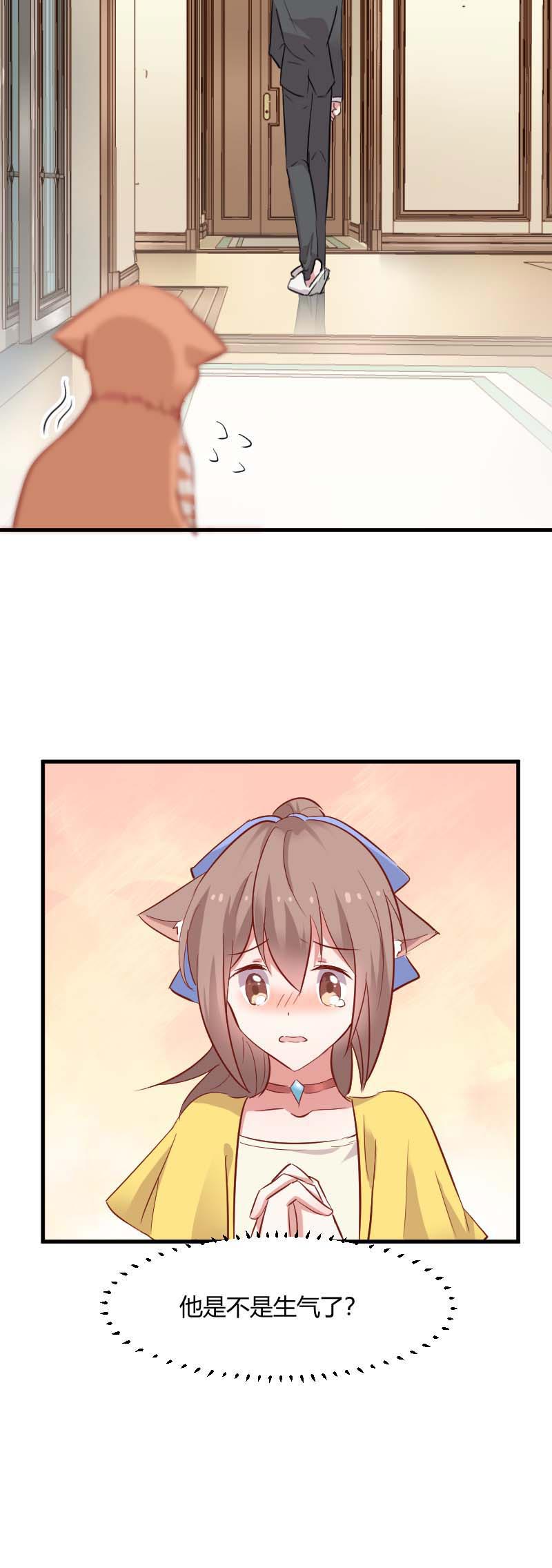 救命我的男票是妖怪第三季 动漫漫画,第22章：撸猫不成反被挠1图