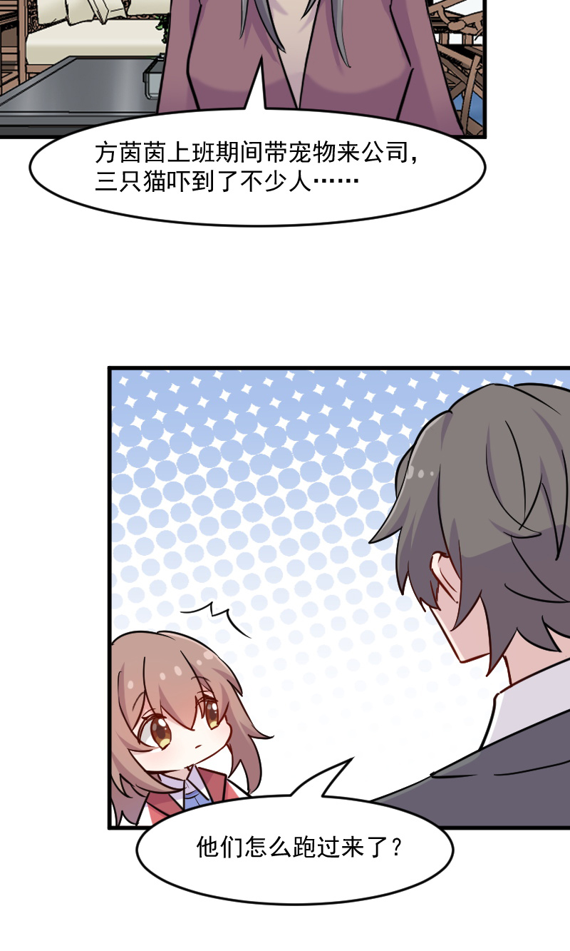 救命我的男票是妖怪第四季动漫免费观看漫画,第125章：总裁的爱猫之心2图