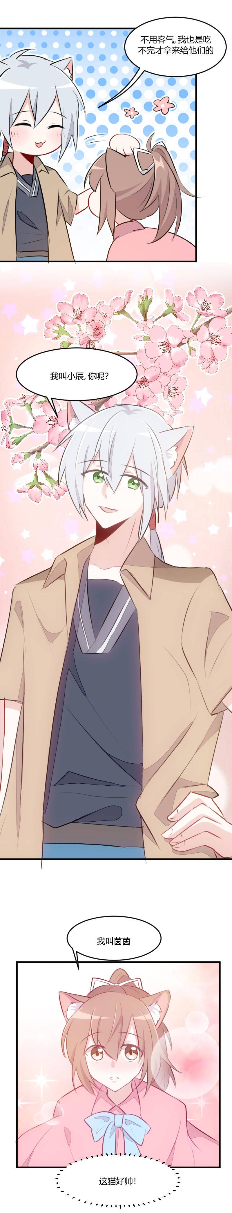 救命，我的男票是妖怪漫画,第7章：这猫好帅3图