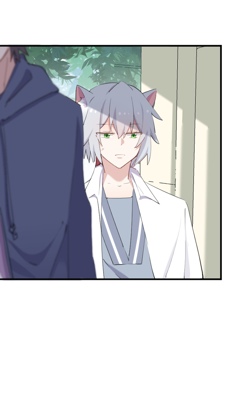 救命我的男票是妖怪第三季 动漫漫画,第104章：猫身上的秘密2图