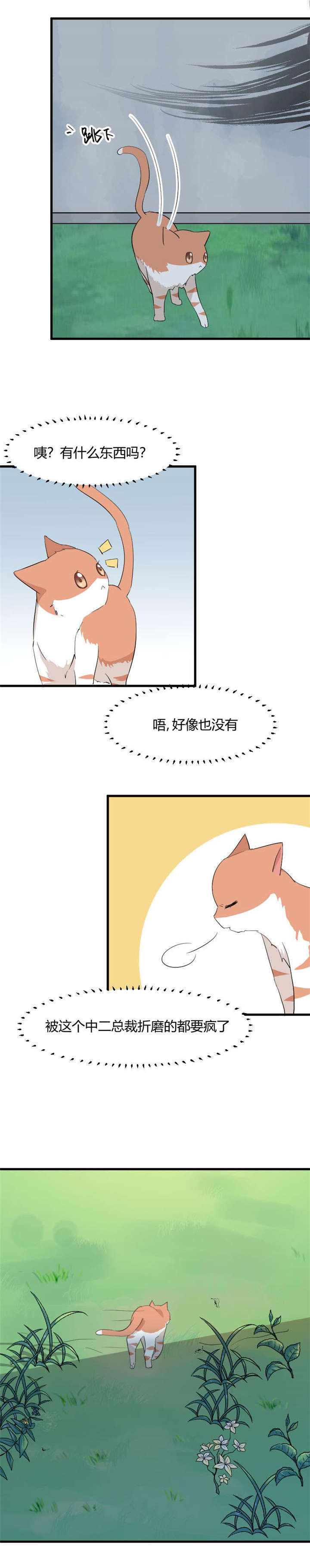 救命我的男票是妖怪第三季 动漫漫画,第1章：偶遇中二总裁3图