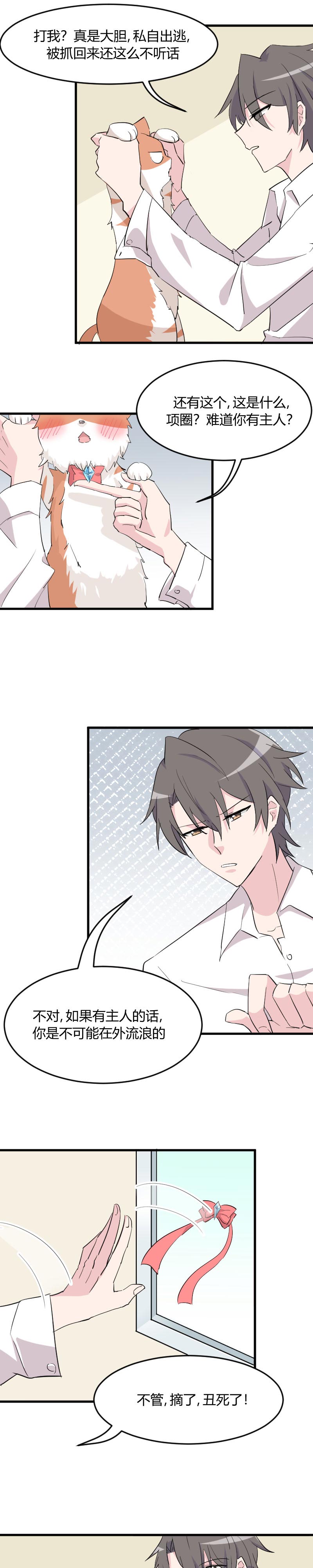 救命我的男票是妖怪第四季动漫免费观看漫画,第15章：姐姐的项圈2图