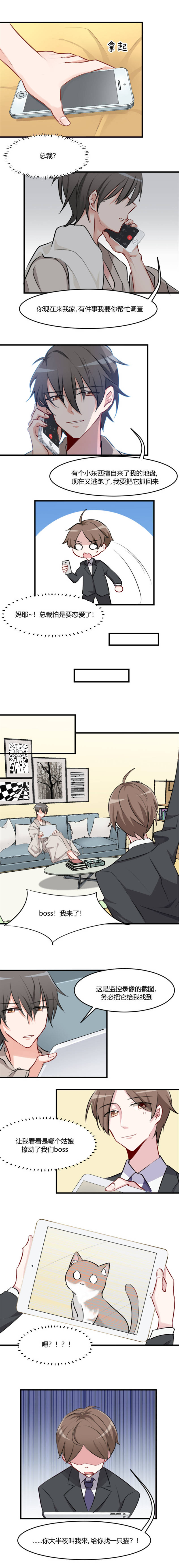 救命，我的男票是妖怪漫画,第7章：这猫好帅1图