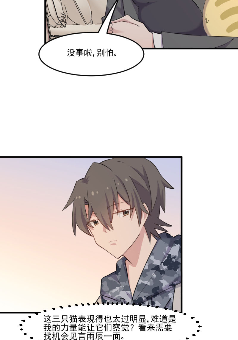 救命我的男票是妖怪第三季 动漫漫画,第103章：照顾她的猫2图
