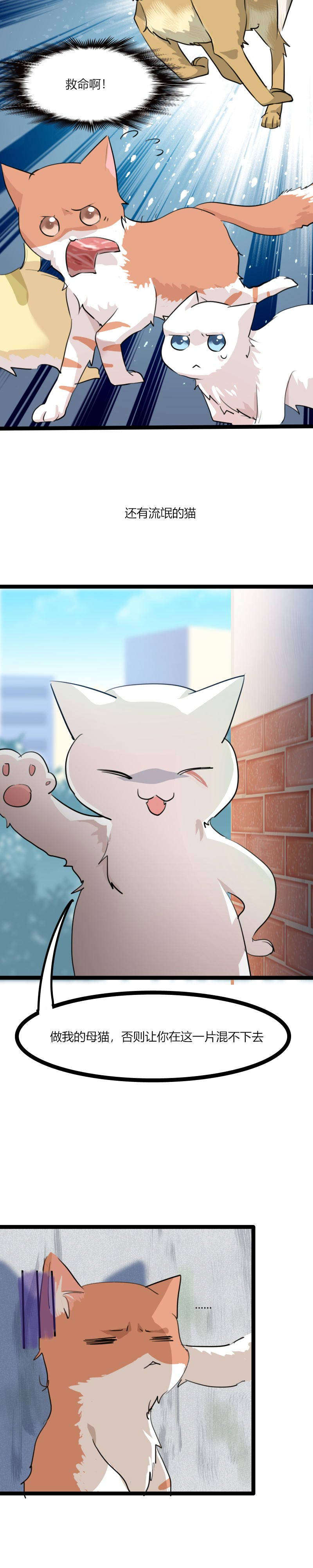 我的男票是妖怪动漫第二季在线观看漫画,第3章：悲惨的喵生5图