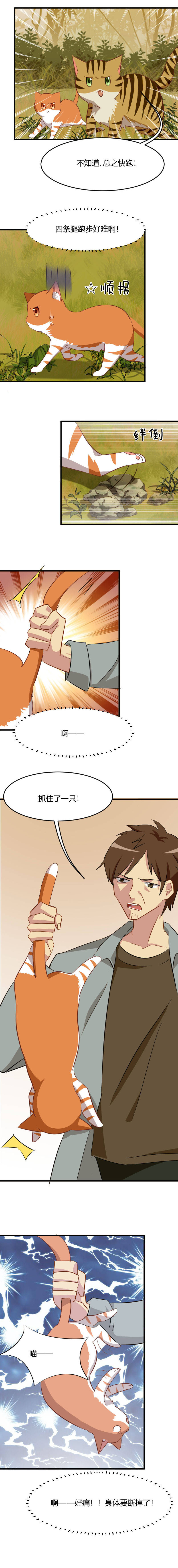 救命，我的男票是妖怪漫画,第11章：身体要断掉了3图