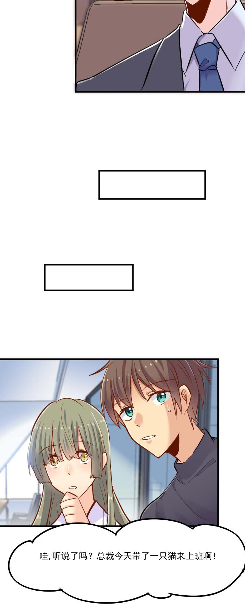 救命我的男票是妖怪第四季动漫免费观看漫画,第39章：不许摸我的猫！4图