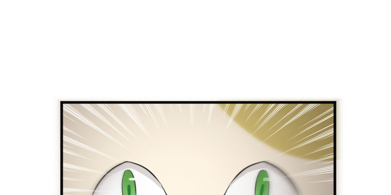 救命我的男票是妖怪完结漫画,第84章：茵茵被抓走！5图