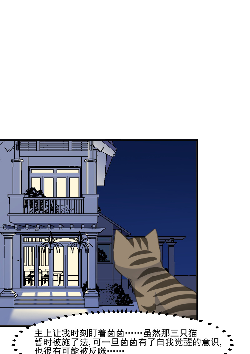 救命我的男票是妖怪第四季动漫免费观看漫画,第107章：分别约会3图