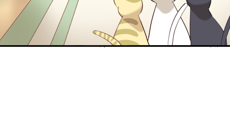 救命我的男票是妖怪完结漫画,第84章：茵茵被抓走！4图