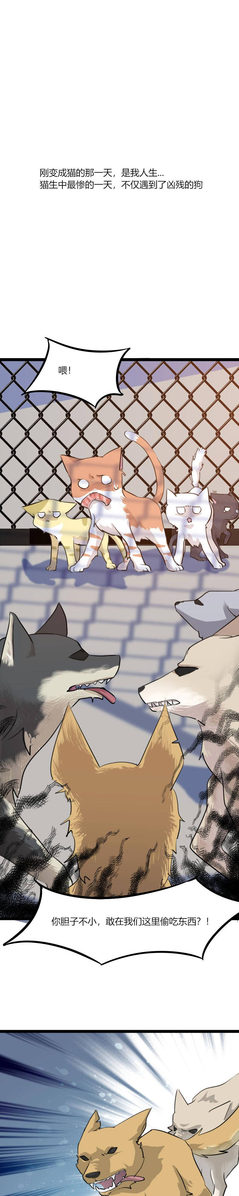 我的男票是妖怪动漫第二季在线观看漫画,第3章：悲惨的喵生4图