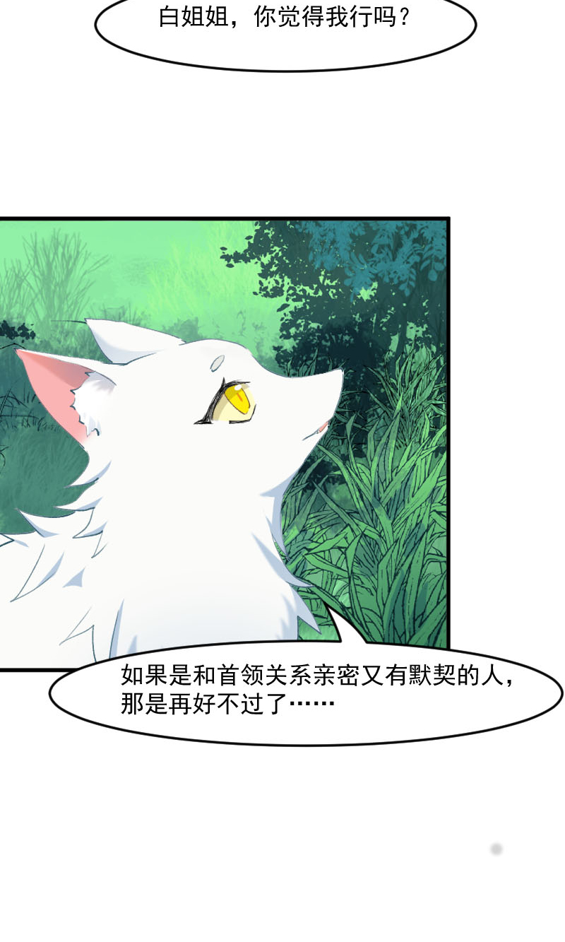 救命，我的男票是妖怪漫画,第112章：猫的报恩5图