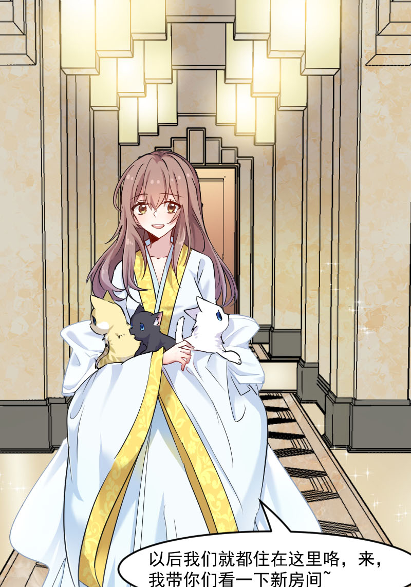 救命我的男票是妖怪第三季完整版漫画,第120章：超豪华的猫屋！2图