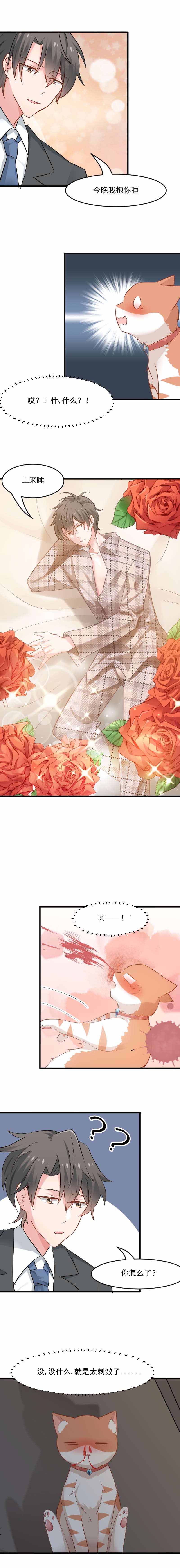 救命我的男票是妖怪第四季动漫免费观看漫画,第26章：黑暗1图