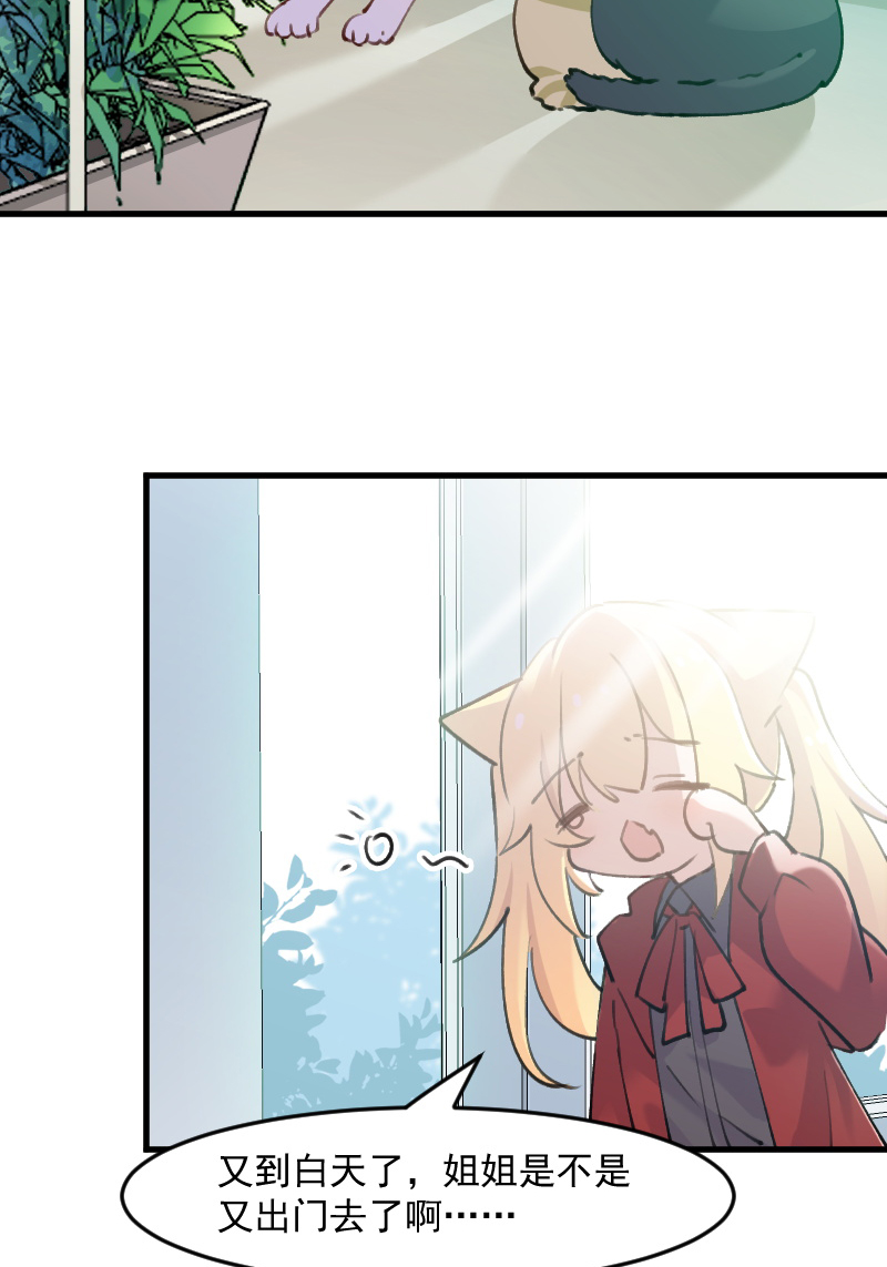 救命我的男票是妖怪第四季动漫免费观看漫画,第124章：三只小猫的冒险章3图