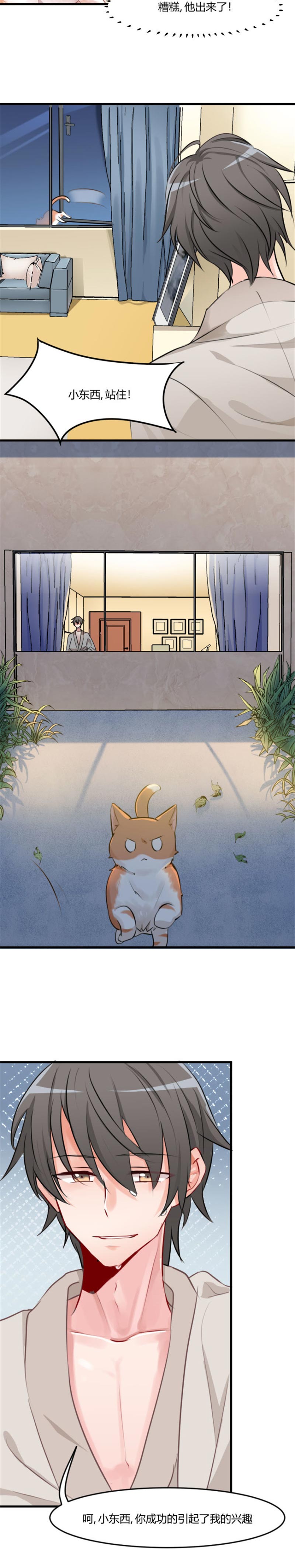 救命我的男票是妖怪完结漫画,第6章：成功引起我的注意5图