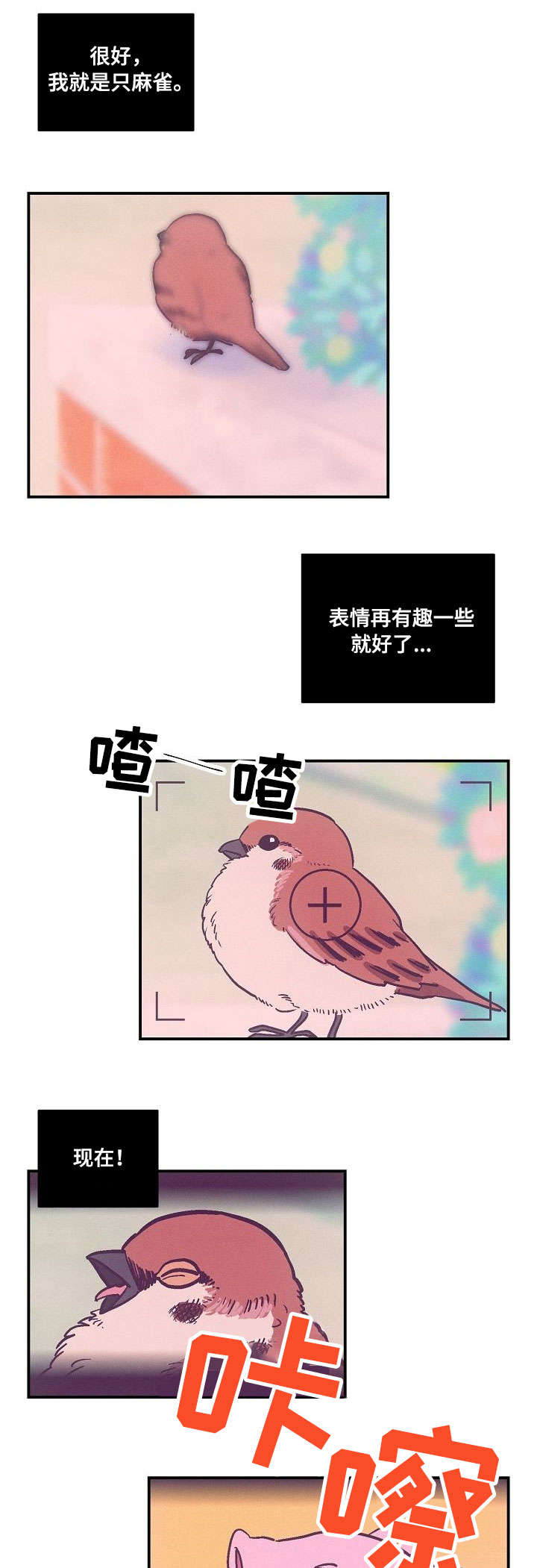 阿尔法继承人漫画,第1章：摄影展1图