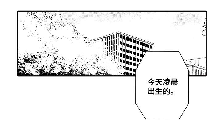 花落漫画,第1章：同事1图