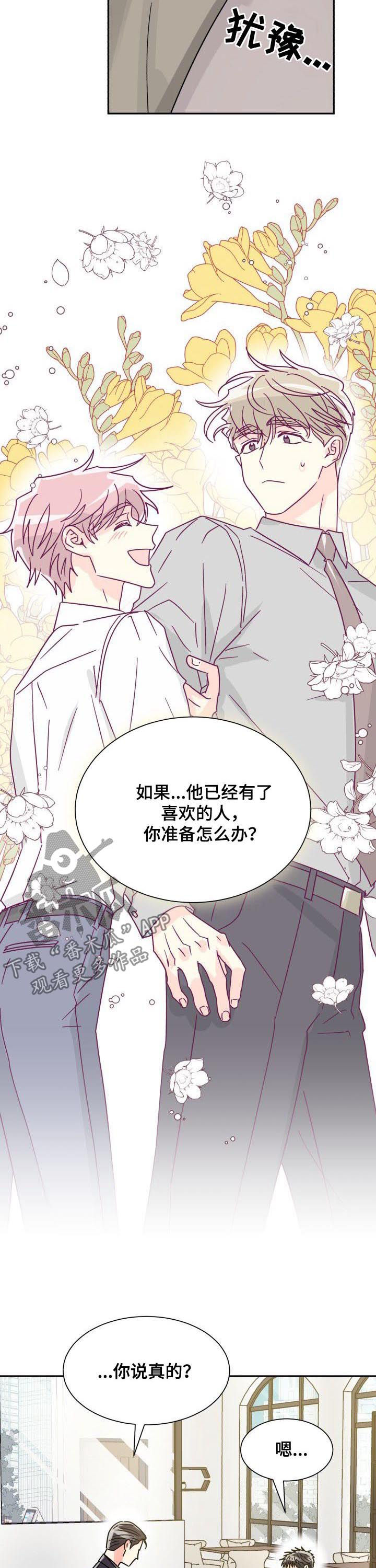 气运彩虹色漫画,第41章：越来越有意思了5图