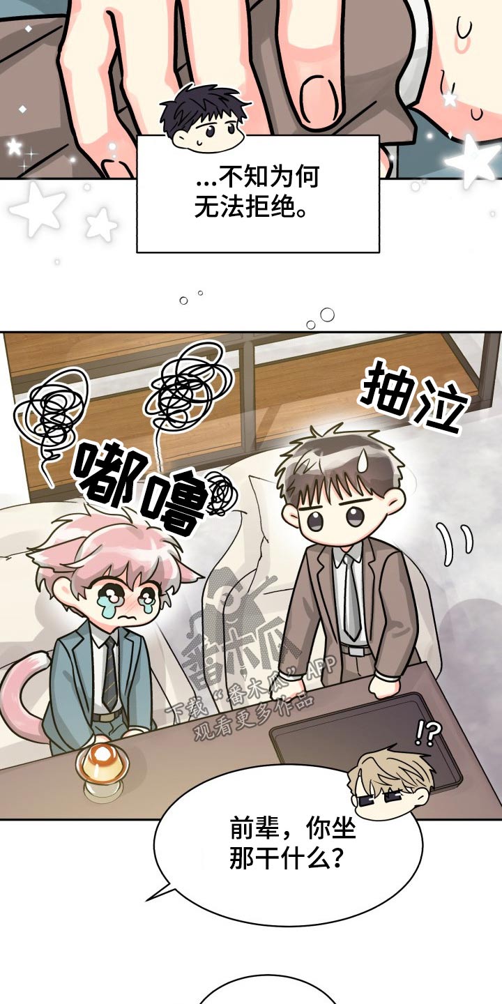 气运彩虹色漫画,第79章：【第二季】不要1图
