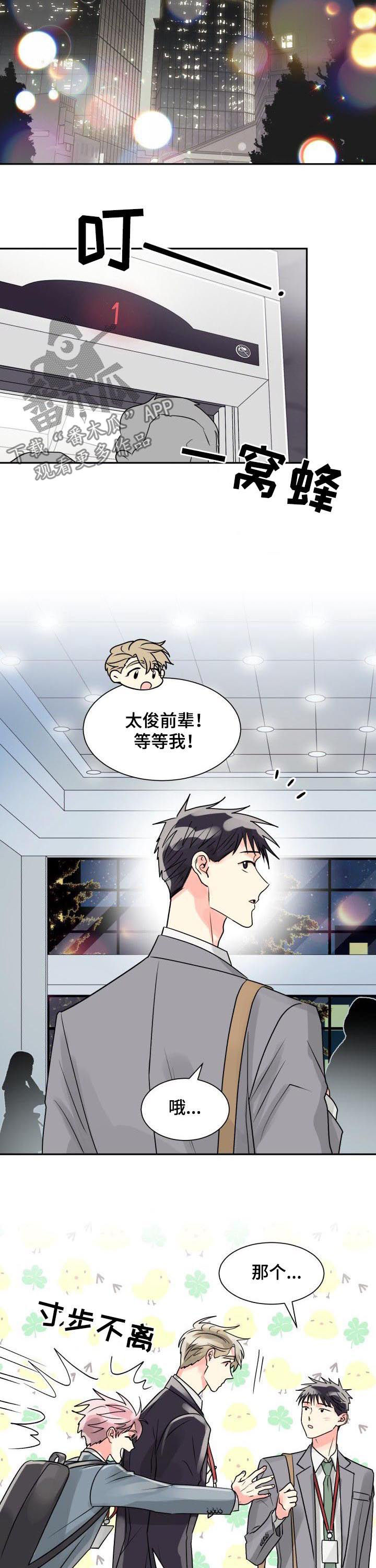 气运彩虹色漫画,第35章：最合适你的人3图