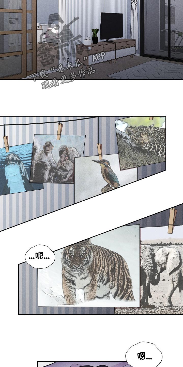 隐秘俱乐部漫画,第44章：赎罪5图