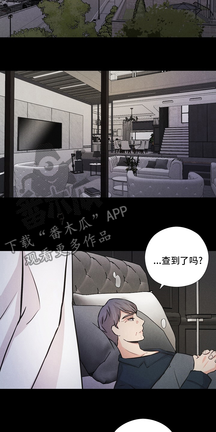 隐秘俱乐部漫画,第17章：好奇心害死猫1图