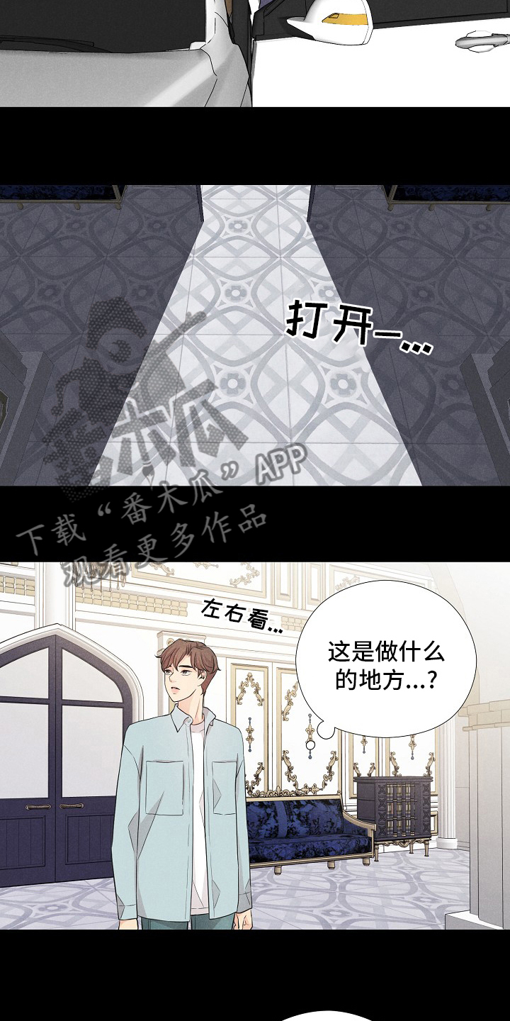 隐秘俱乐部漫画,第36章：特别的客人2图