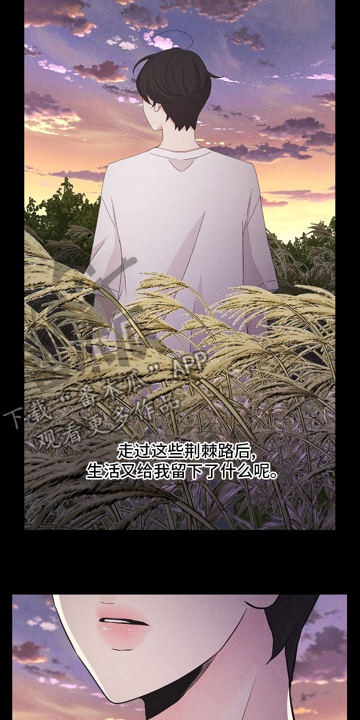 隐秘俱乐部漫画,第19章：飞机2图