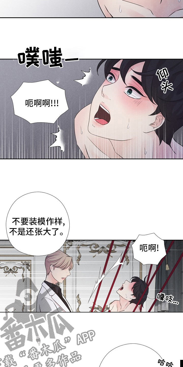 隐秘俱乐部漫画,第19章：飞机2图