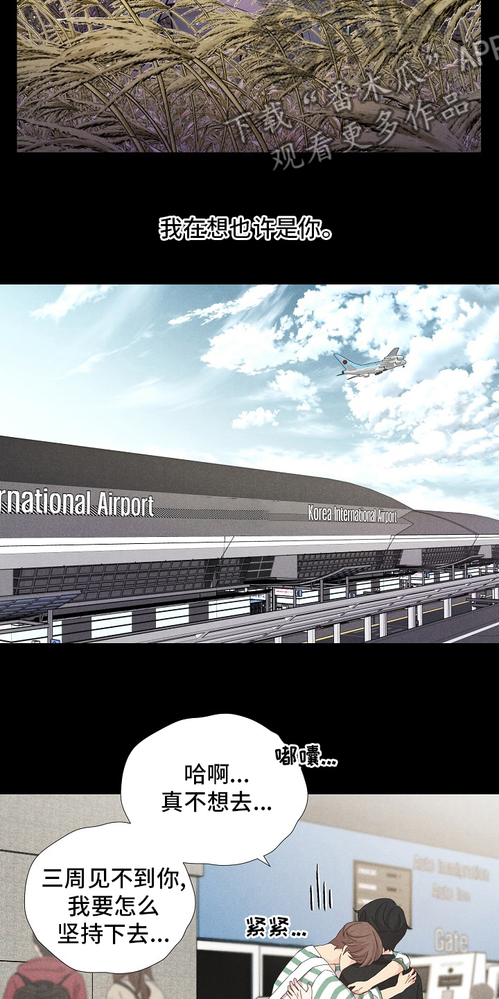 隐秘俱乐部漫画,第19章：飞机4图